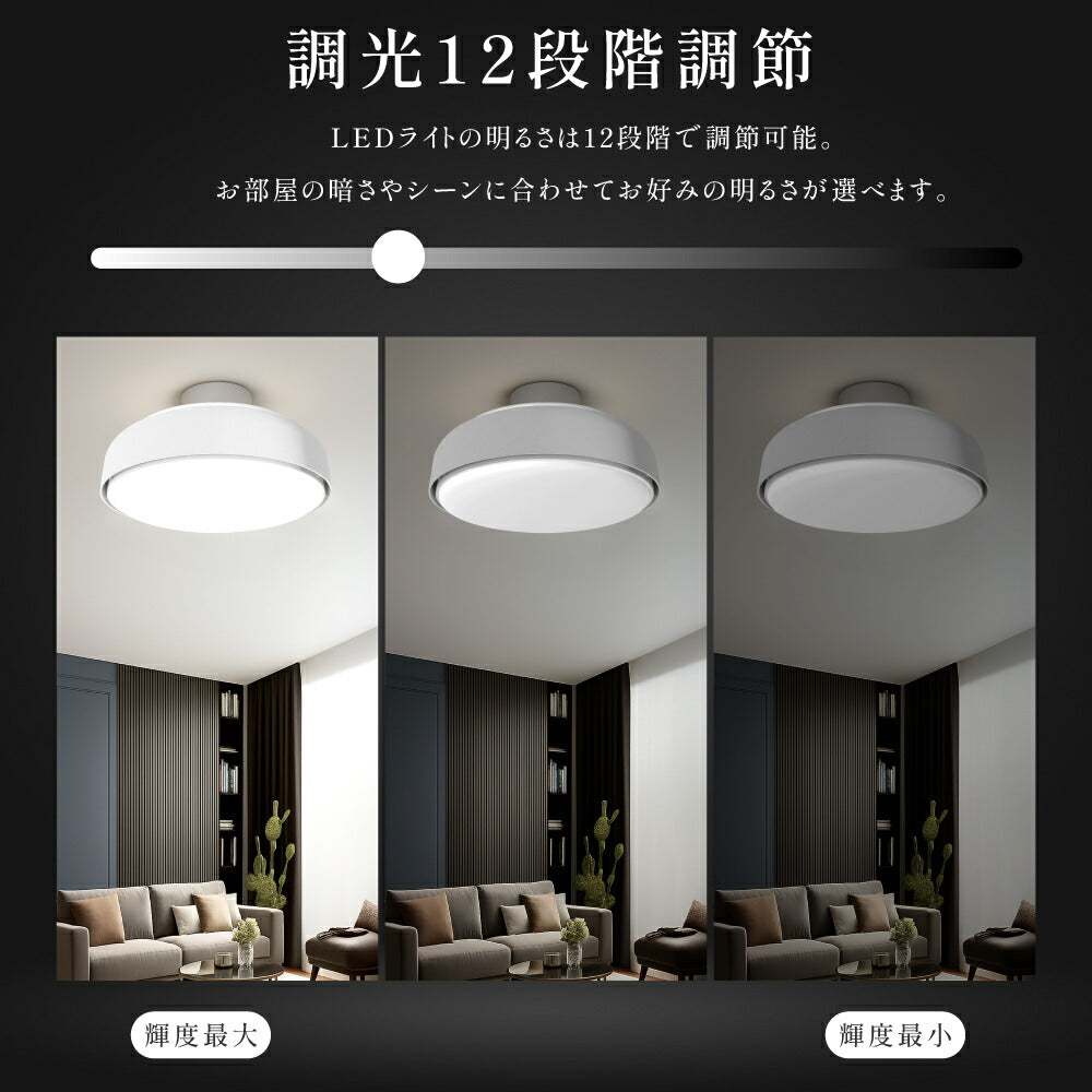 30日限定☆80%OFF で4796円!予約販売受付中!シーリングファン ファン付 led おしゃれ シーリングライト 照明 電気 8畳 10畳 12畳 リモコン ファン付き照明 調光 調色 ライト リビング 空気循環 子供部屋 寝室 和室 洋室 インテリア照明 簡単設置 ex-b01001
